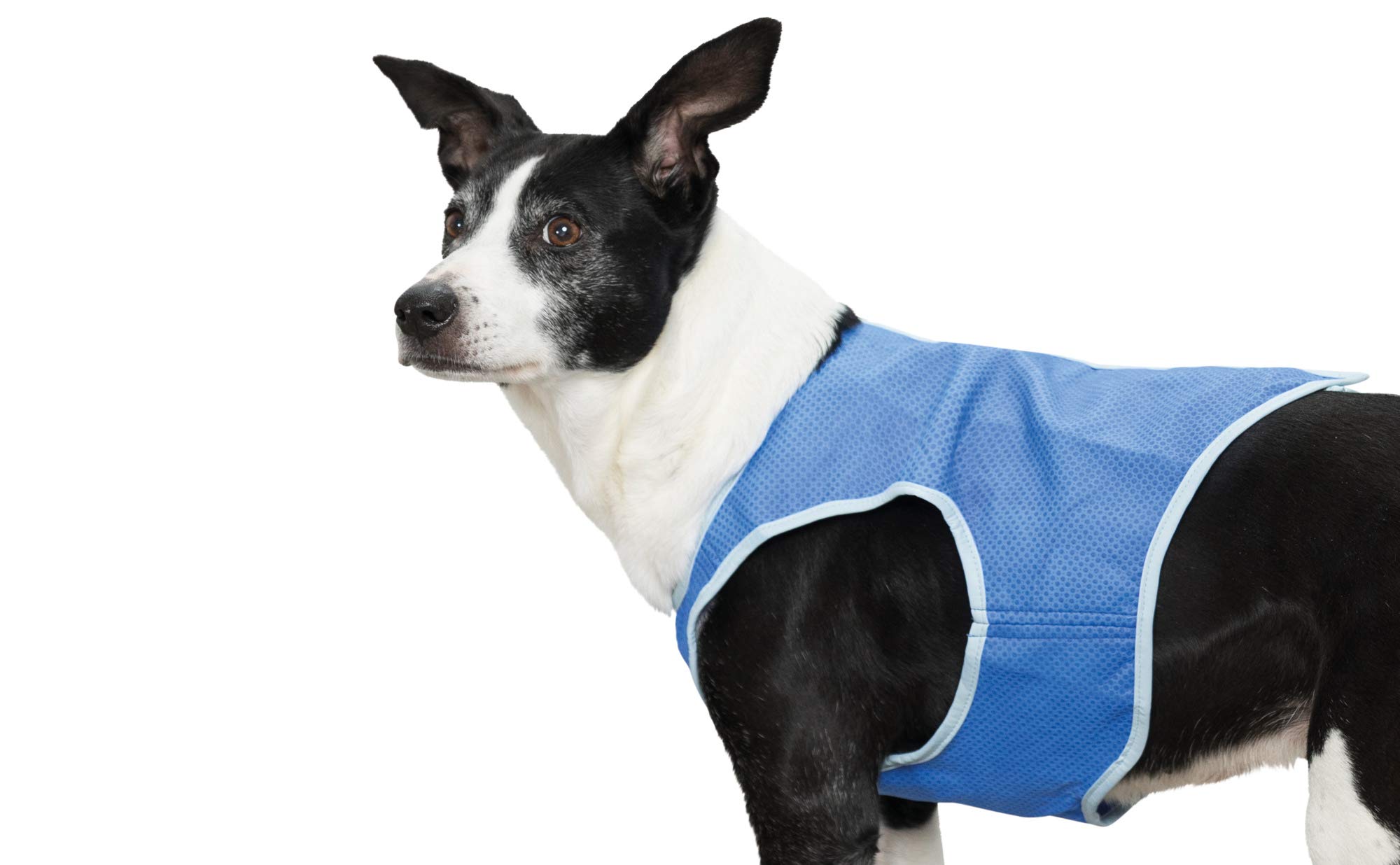 Trixie Veste Rafraîchissante pour Chien Taille S Bleu 1 Unité