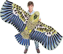 SNJOYFUL Pipa De Águia Grande Para Crianças E Adultos, Pipas 70,8" 8 A 12 Anos, Praia Linha Única Fácil Pilotar, Vem Com Corda 328 Pés