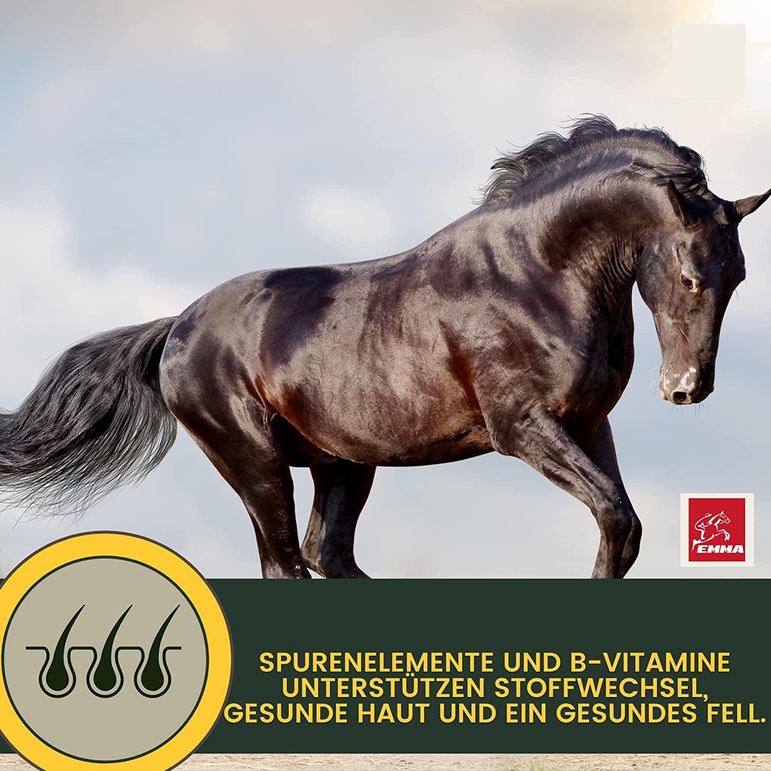 Caballo de refuerzo para el estómago, probióticos, levadura de cerveza, vitamina E, caballo, cultivos de levadura, microflora intestinal, tracto gastrointestinal, pasta de vitaminas I después de