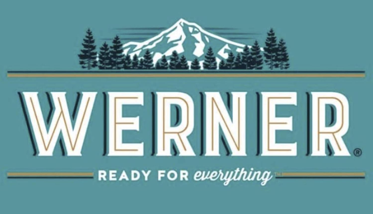 Werner Tender Strips (Teriyaki)