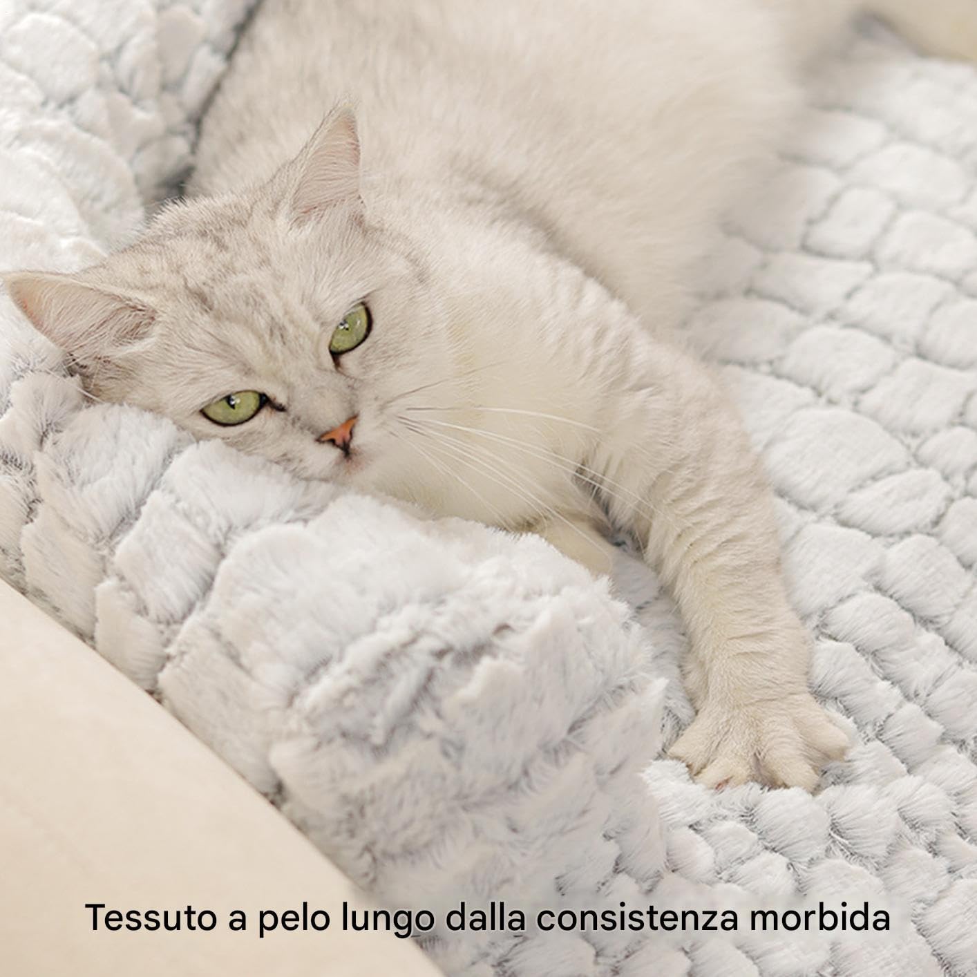 per Cani per Divano | Lavabile Rimovibile Antiscivolo Tappetino