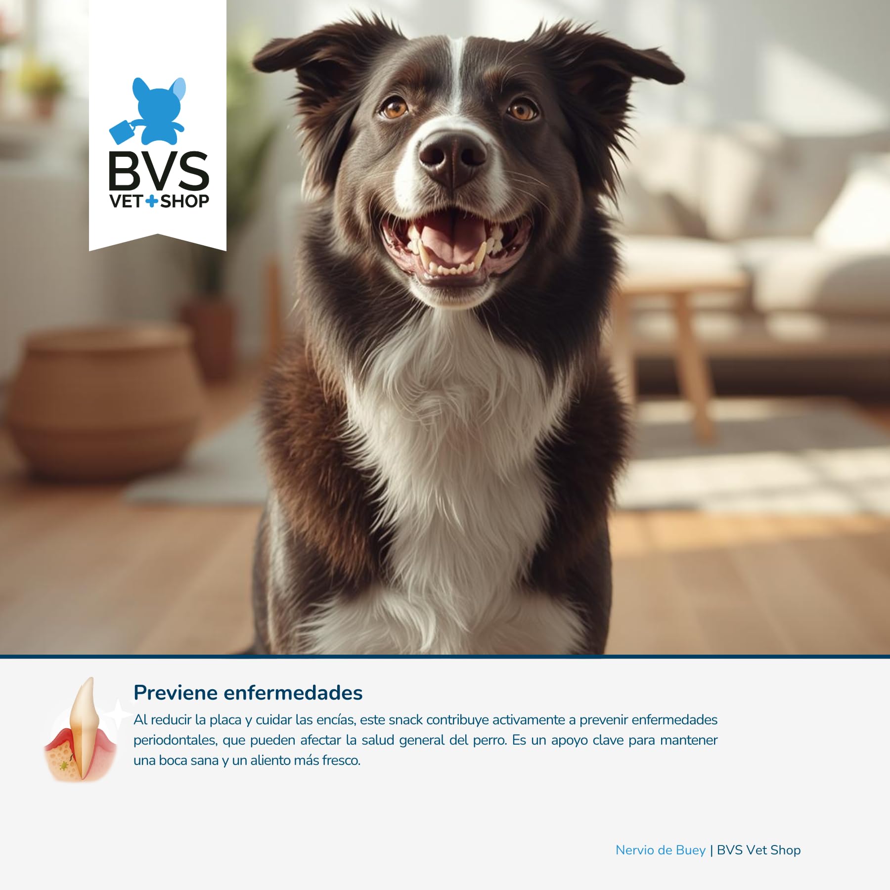 BVS Vet Shop | 12 cm di tenerezza di manzo per cani | Snack 100% naturale senza conservanti né coloranti | Tenerezza di manzo | 6 unità
