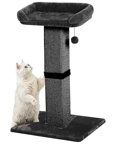 Karolpar 32" Cat Scratching Post for Indoor Cats, Sisal Cat Scratcher with Plush Perch, Large Scratch Post with Bed, Removable Cover, Sisal Fabric,Black - Black