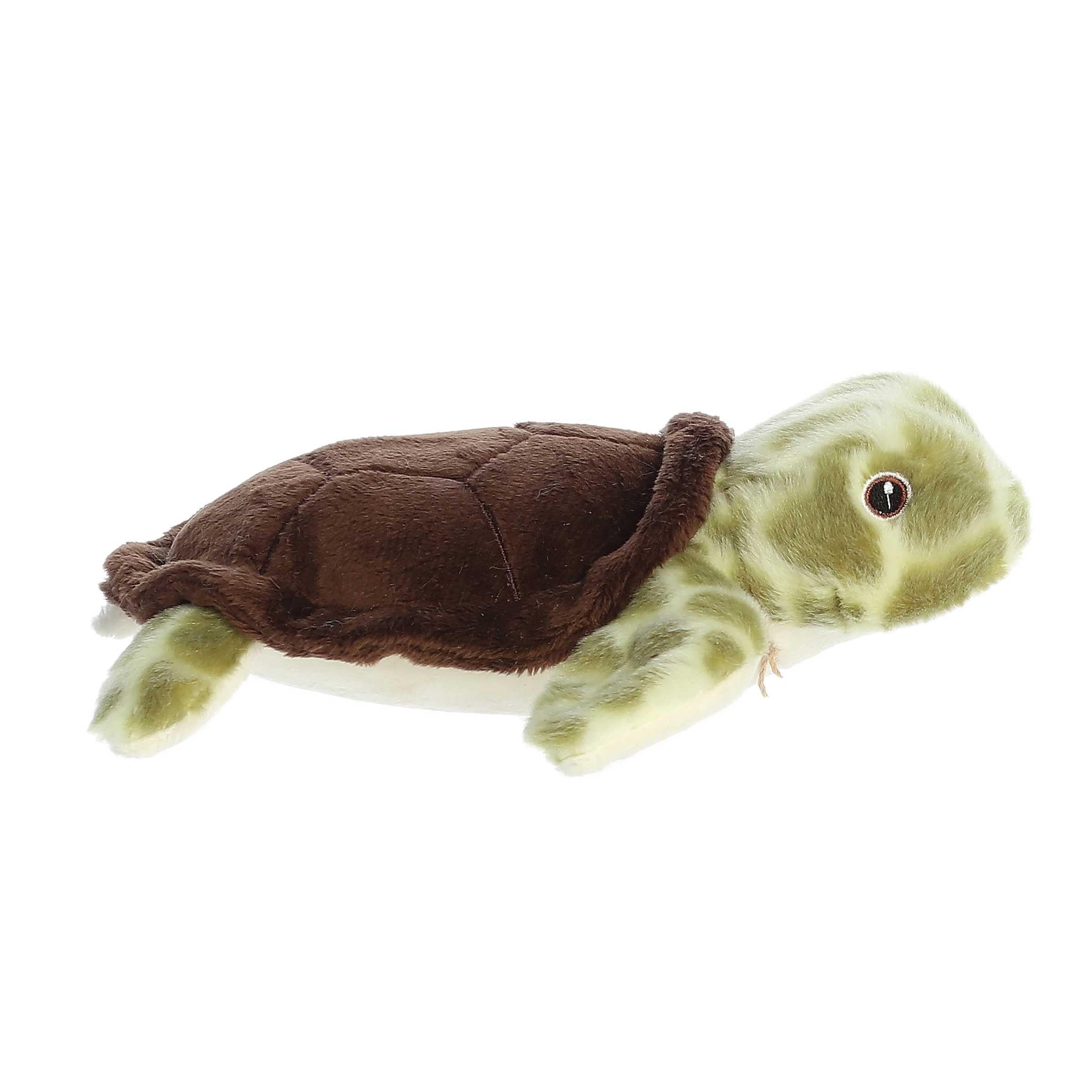 Aurora(r) Responsibly Made Eco Nation(tm) Eco Softies(tm) Sea Turtle Stuffed Animal - Ideal for Playtime Adventures - Perfect for Birthdays or Just Because - Green 8 Inches - Image 4