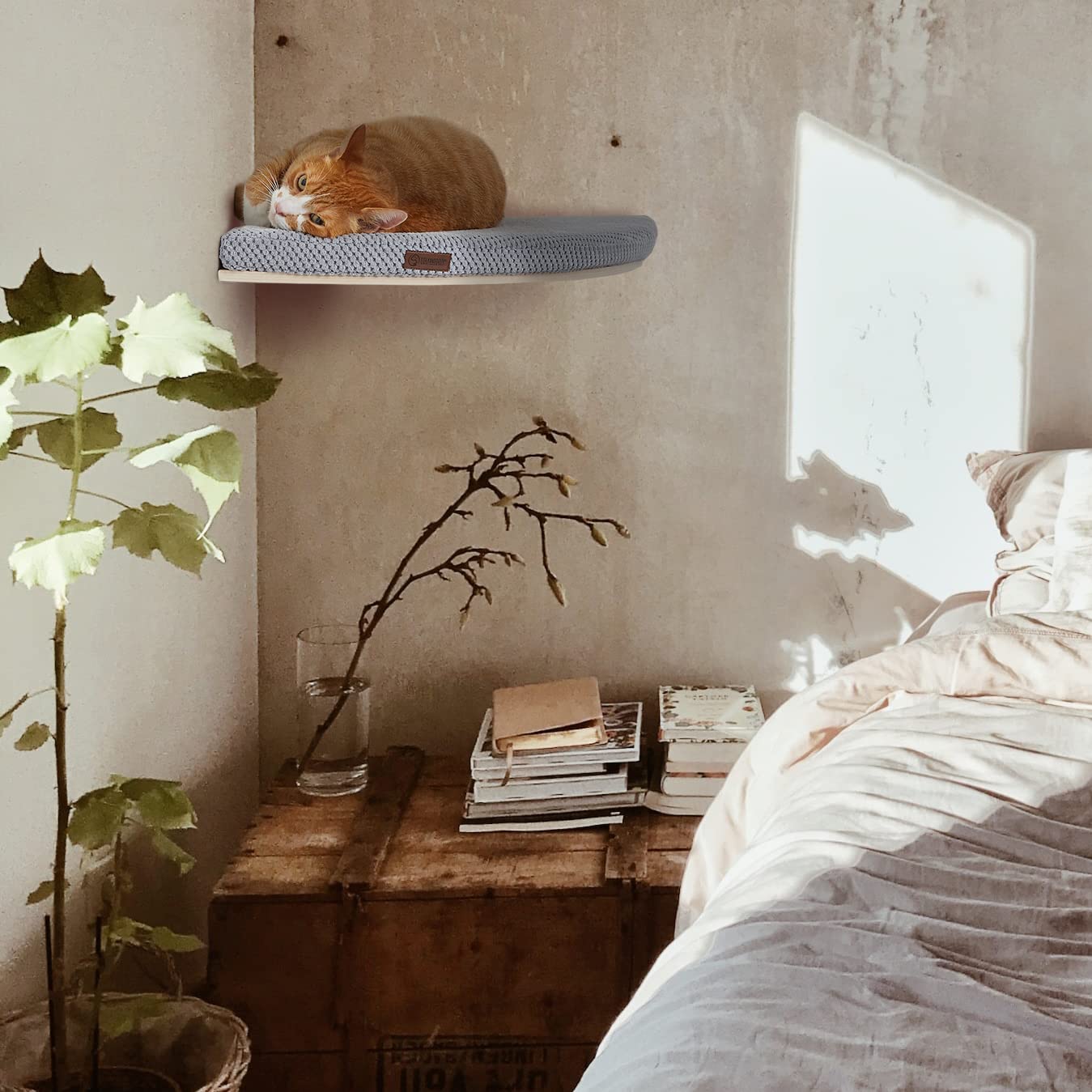 COSY AND DOZY Corner Shelf CHILL - Tablas para gatos para pared, tumbona para gatos, cama para gatos, 50 x 50, con colchón de 3 cm, para gatos de hasta 20 kg