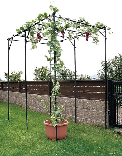 ʕI Zbg 120cm s180cm 180cm I I K[f K[fjO I A[` | LECI |I