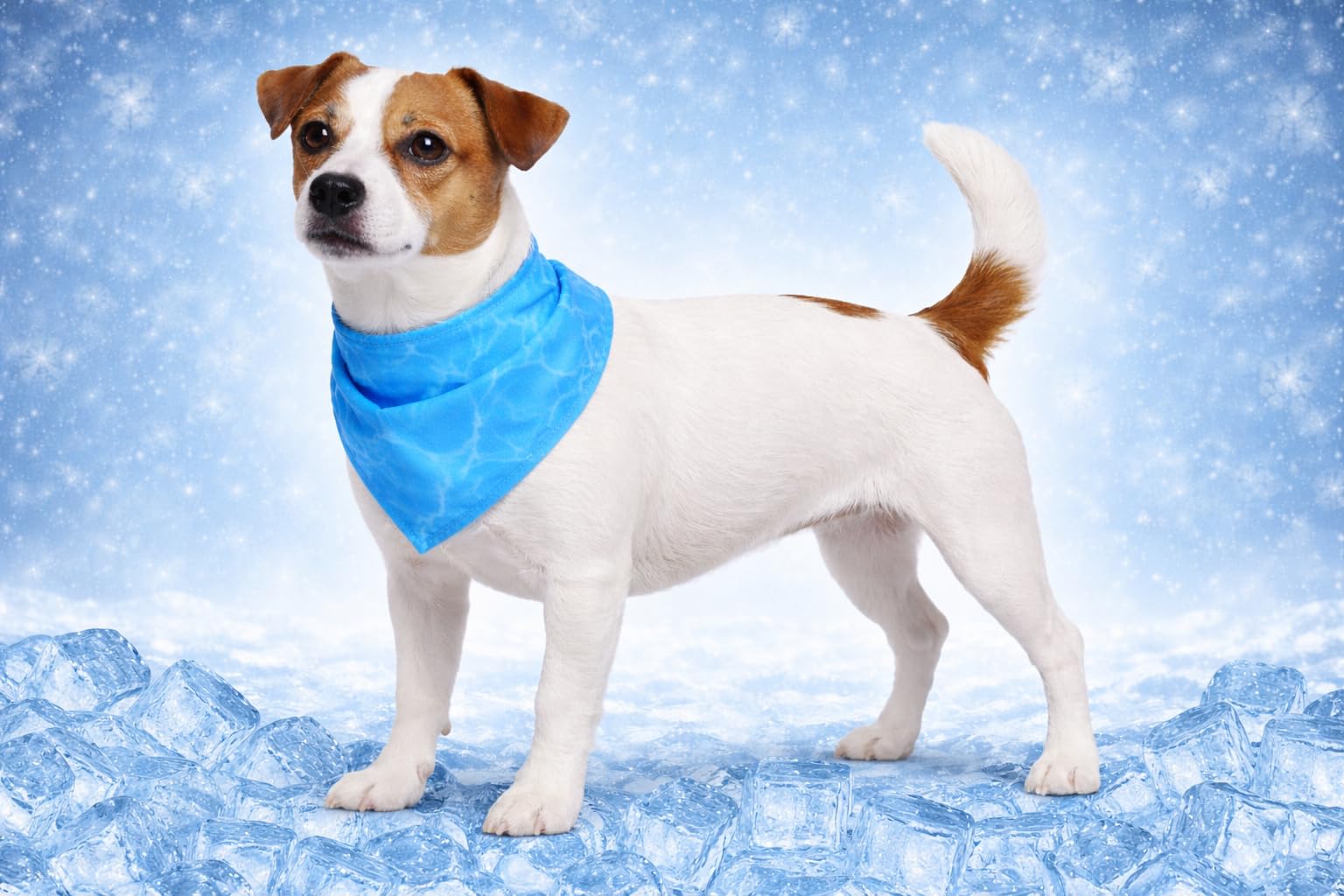 Flamingo COOLING BANDANA FRESK INOU S BLUE 52x22CM