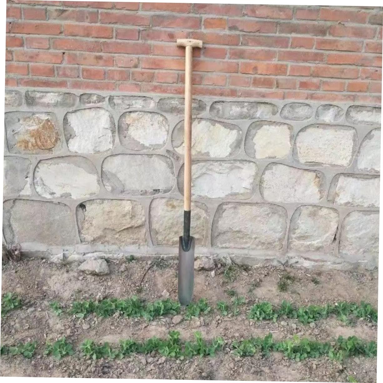 Abaodam Pala Da Giardinaggio in Acciaio, Strumento Per Scavare L’erba e Diserbare, Attrezzo Manuale Prolungato Per Orto e Giardino, Resistente Per Lavori Pesanti e Trapianto Piantine