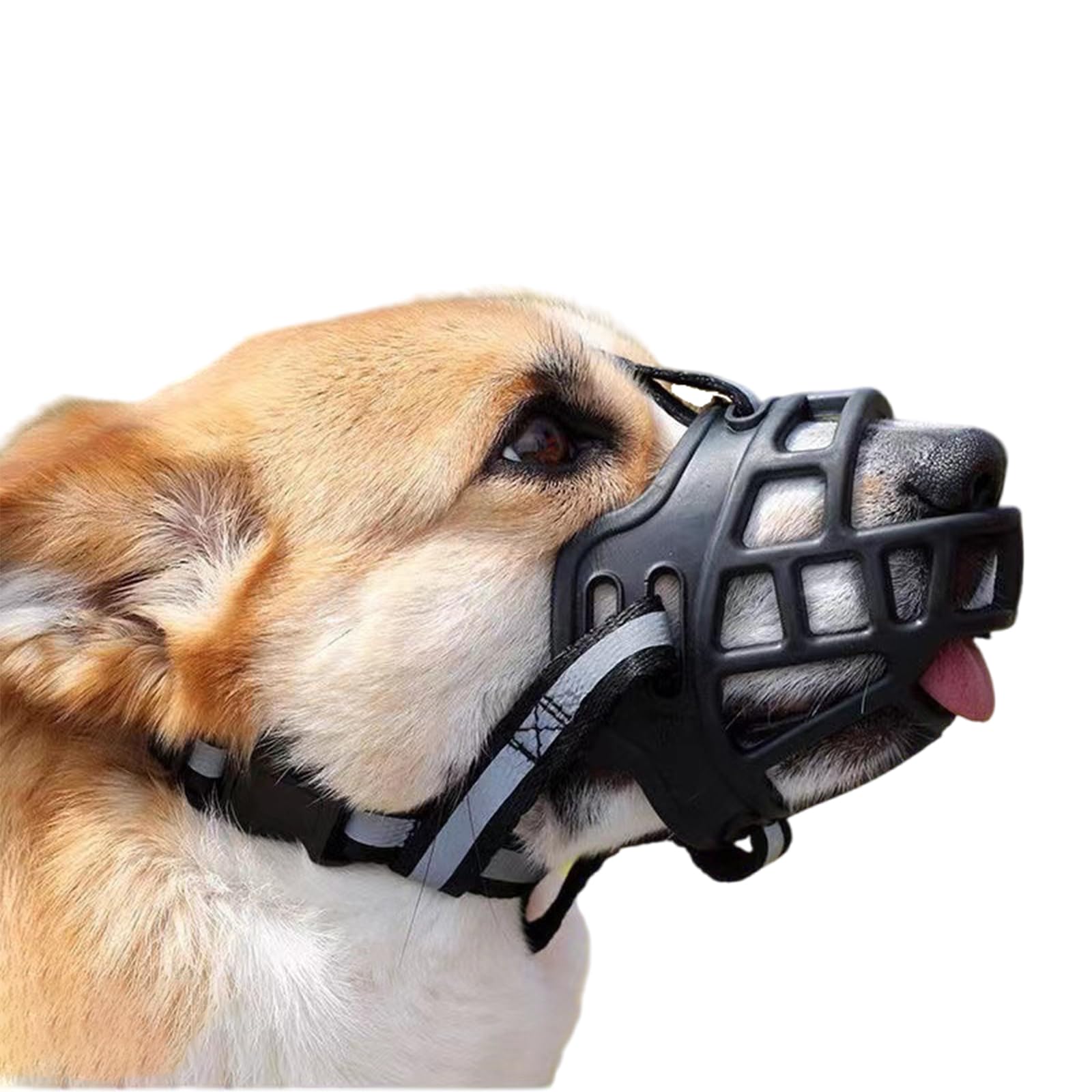 Museruola per cani, Museruola anti-morso, traspirante, regolabile, con museruole morbide a cestino, consente di ansimare e bere, ampio foro for respirare(Black,No. 3)