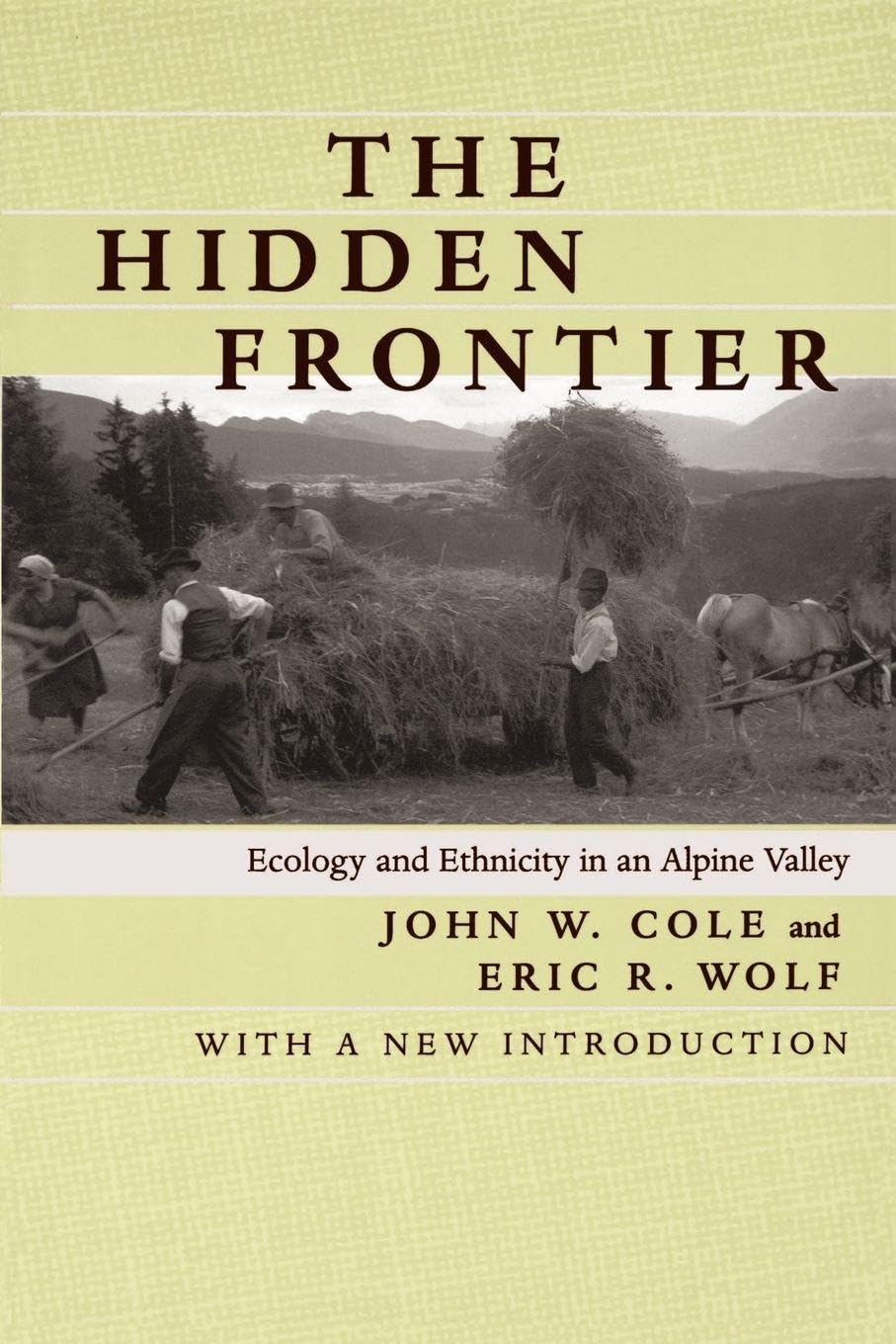 The Hidden Frontier: Ecology and Ethnicity in an Alpine Valley, with a New Introduction [Lingua inglese]