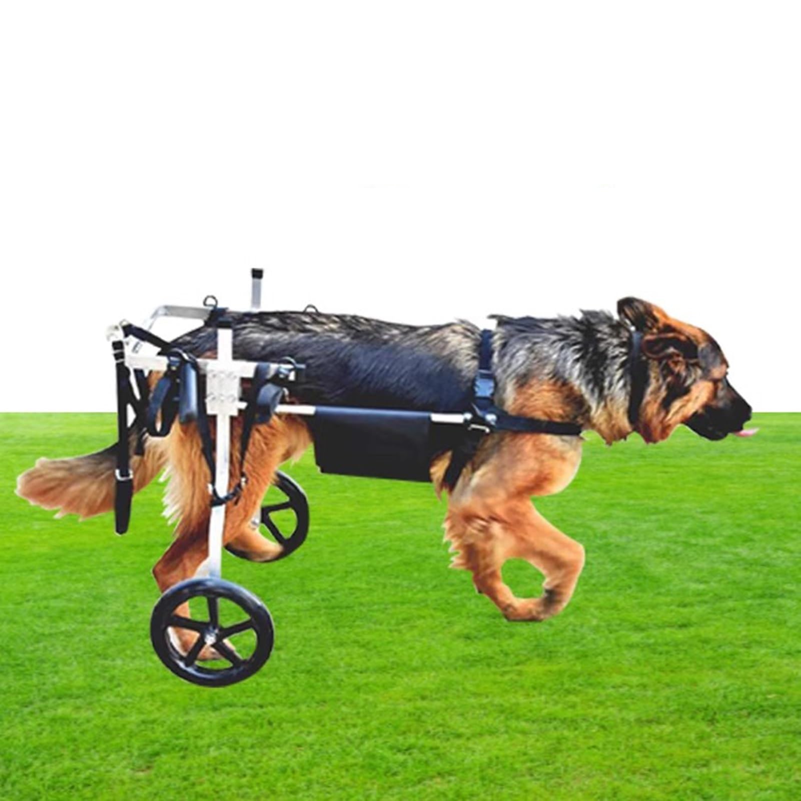 Fauteuil roulant pour chiens de taille moyenne chariot réglable