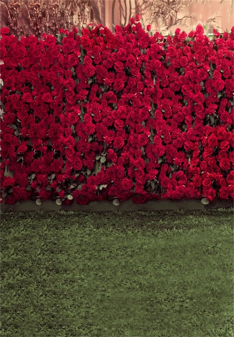 AOFOTO 5x7ft Child Photography Background Kid Photo Shoot Backdrops Romance Red Rose Flowers Wall Blurry Grass Floors Toddler Artistic Portrait Scene