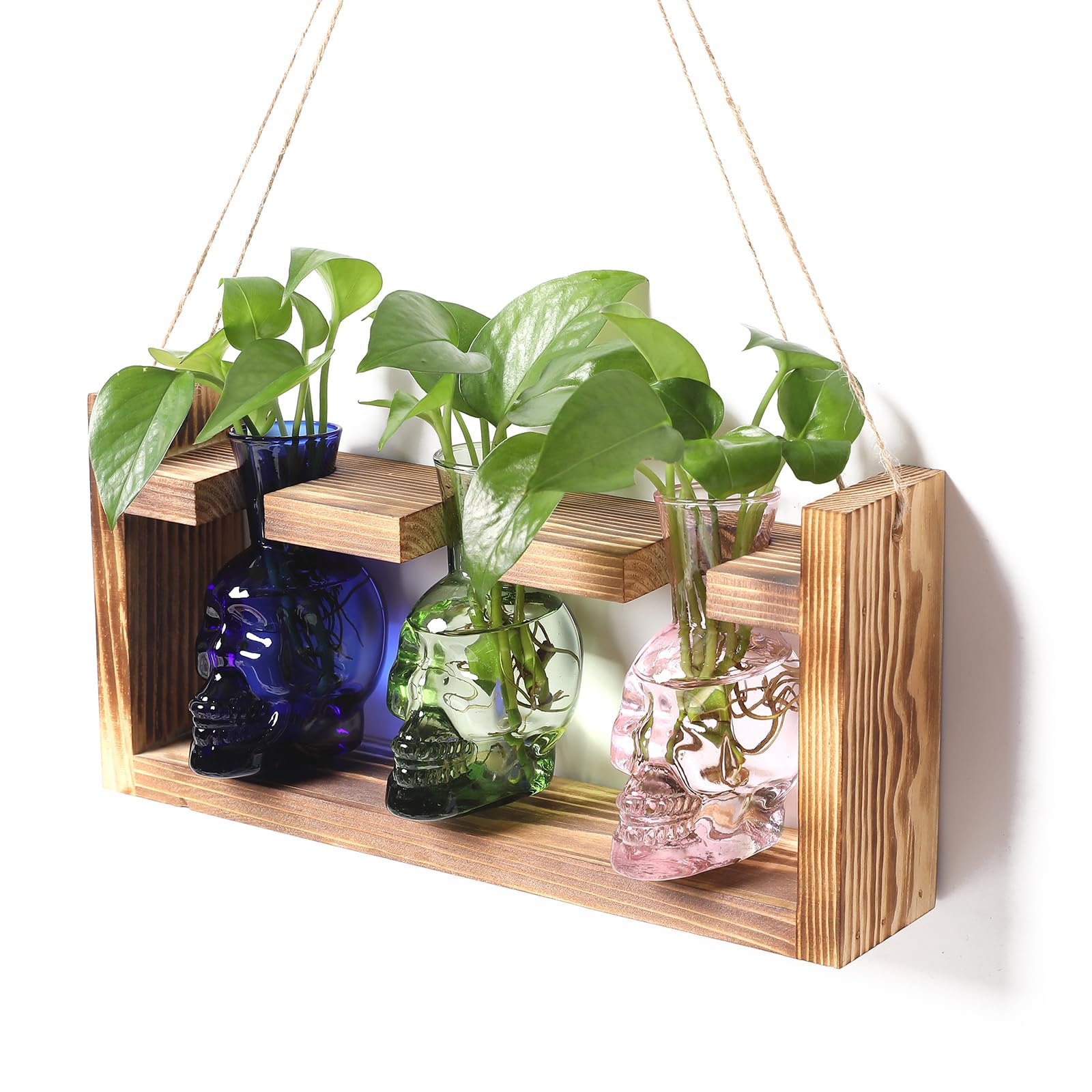Plant Terrarium Propagation Stations Hydroponics Halloween Skull Planter Vase Skulls Decor with Wooden Stand Gift for Father