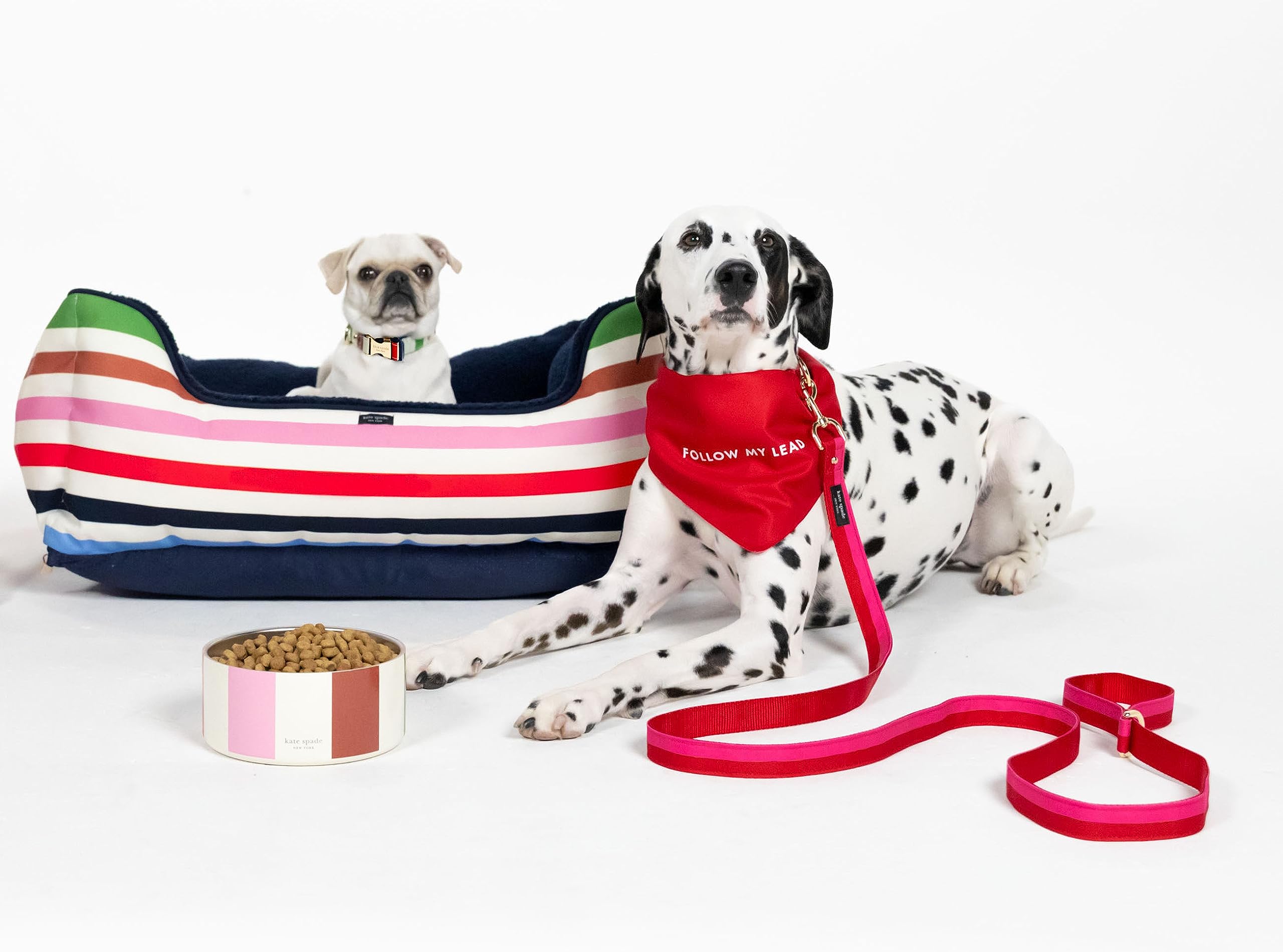 Kate Spade New York Guinzaglio per cani da 1,4 m, resistente, per cani femmine o maschi, grazioso guinzaglio per animali domestici con hardware in metallo dorato, guinzaglio lungo per cani di piccola