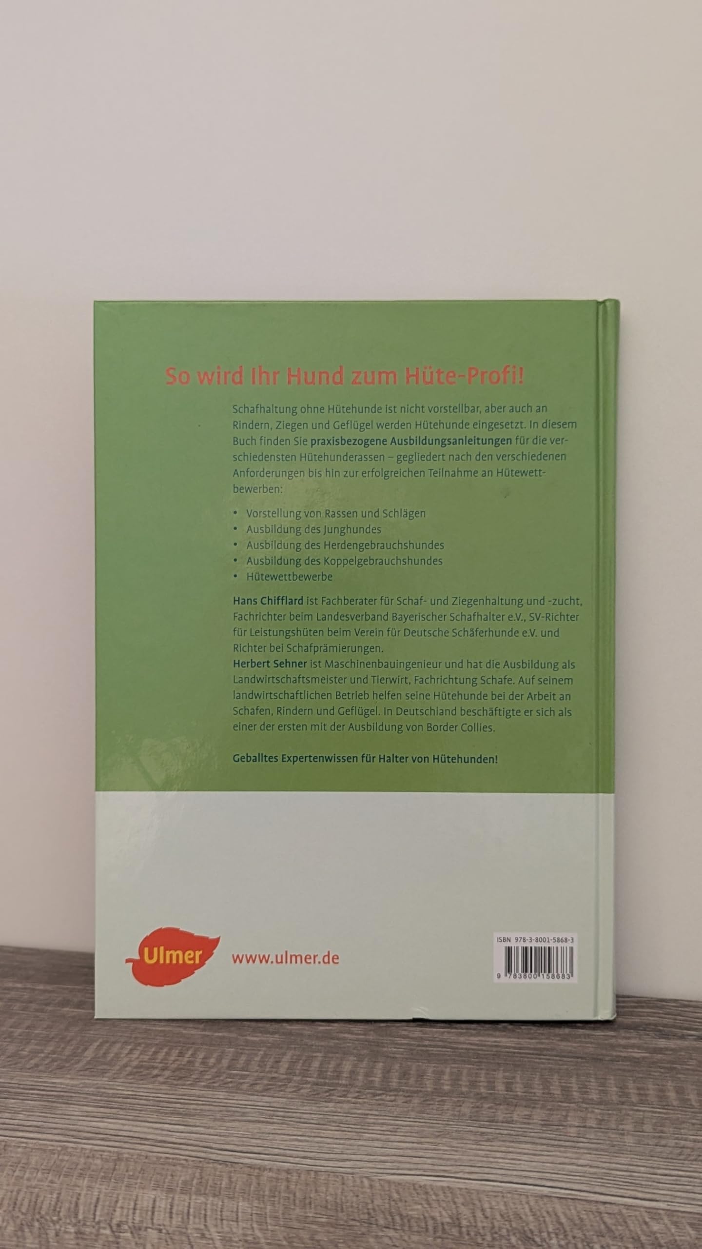 Ausbildung von Hütehunden