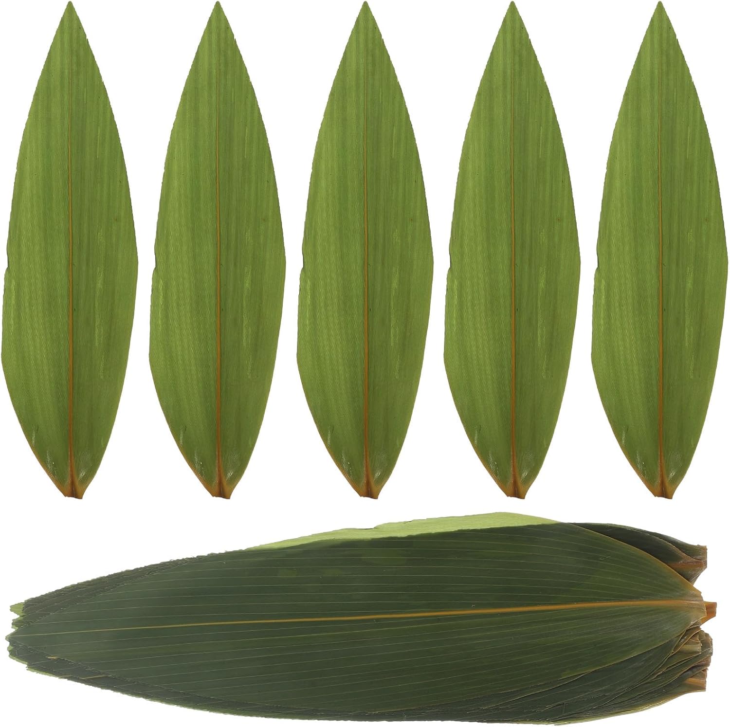Hojas Decorativas de Sushi 100 Piezas Bambú Verde