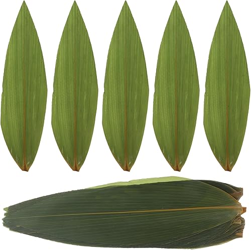Kichvoe 100 hojas de bambú de hierba de sushi – hojas reales japonesas de sushi baran sashimi placa hoja – hojas decorativas para platos de sashimi