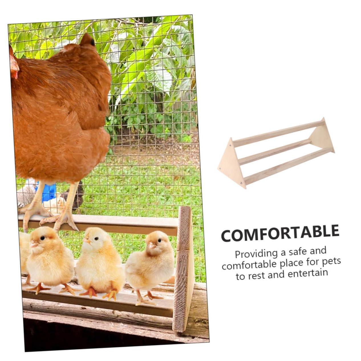 TOYANDONA 2 Pezzi Posatoio per Uccelli in Legno Naturale per Galline Pappagalli Trespolo Stabile Accessorio per Pollame Uccelli Domestici Facile da Usare