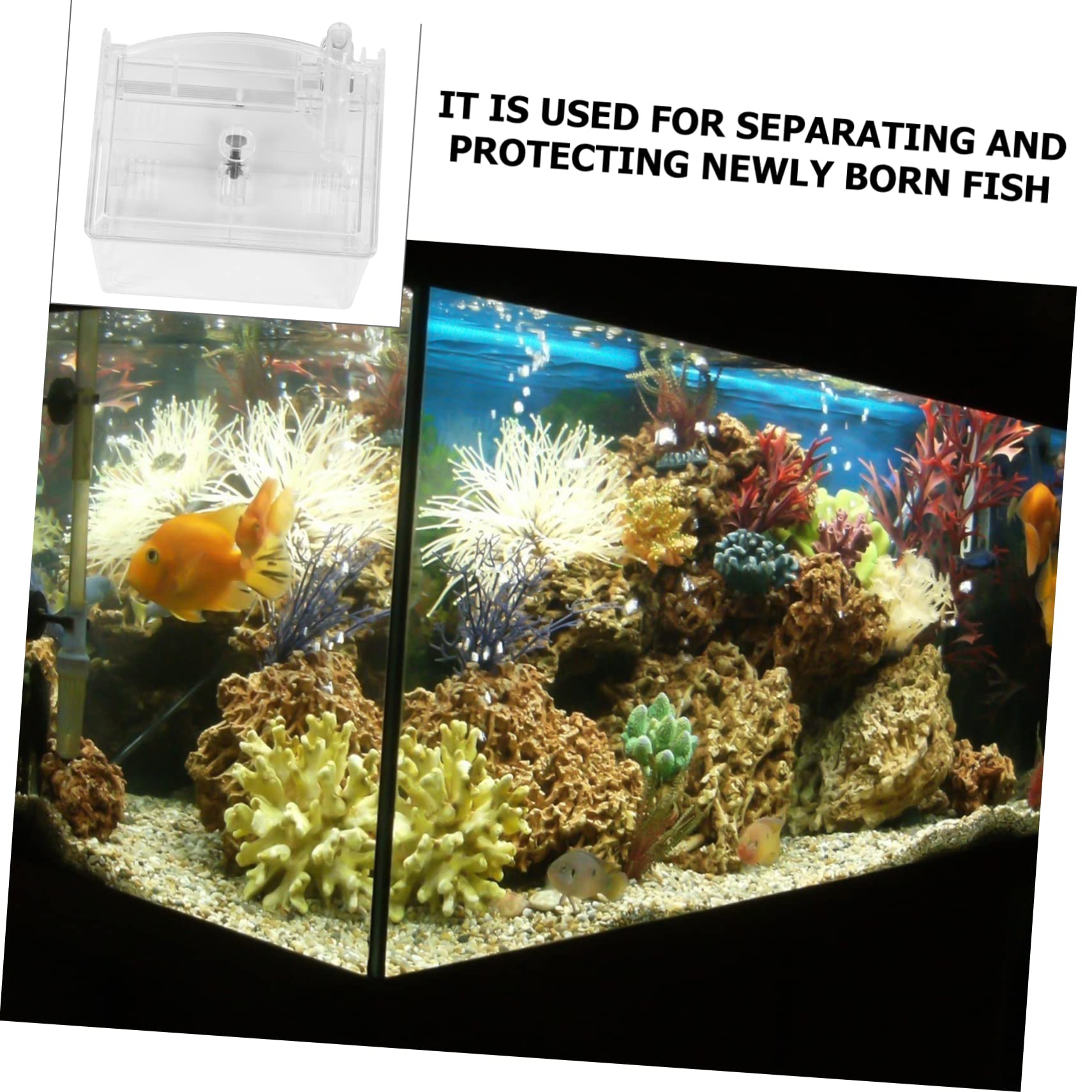 1 Pieza Caja de Aislamiento para Acuarios Caja de Cría de Peces con Diseño Neumático para Aislar Peces Enfermos o Mantiene el Agua y el el Hábitat Acuático