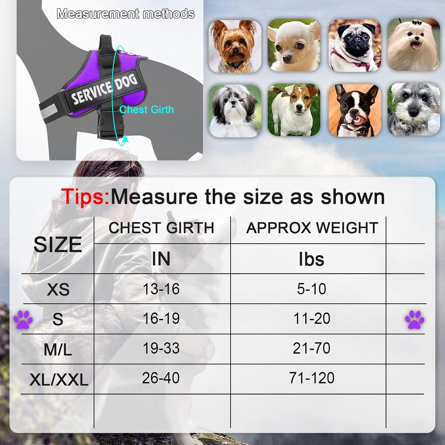 Bolux No Pull Dog Harness, 2022 Upgrade Widely Adjustable Service Dog Vest Harness for All Breeds, Replaceable No Pull Dog Harness, Appropriate Size Dog Harness for Small Medium Large Dogs