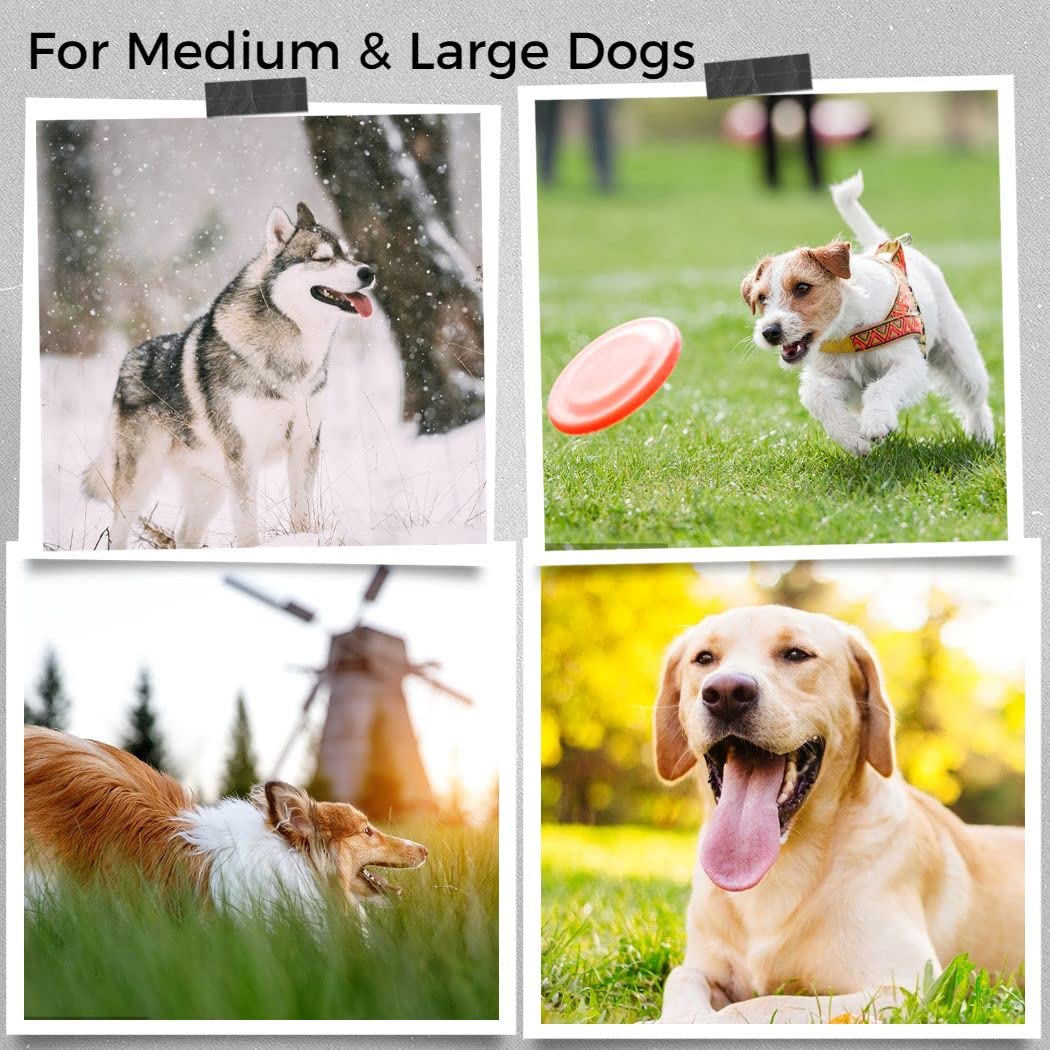 Laisse pour Chien, Laisse Double en Nylon réfléchissant avec 2 mousquetons et 3 Anneaux de réglage, Laisse d'épaule réglable 1,3 cm x 3 mm, pour Jogging et Dressage, Chiens Moyens et Grands