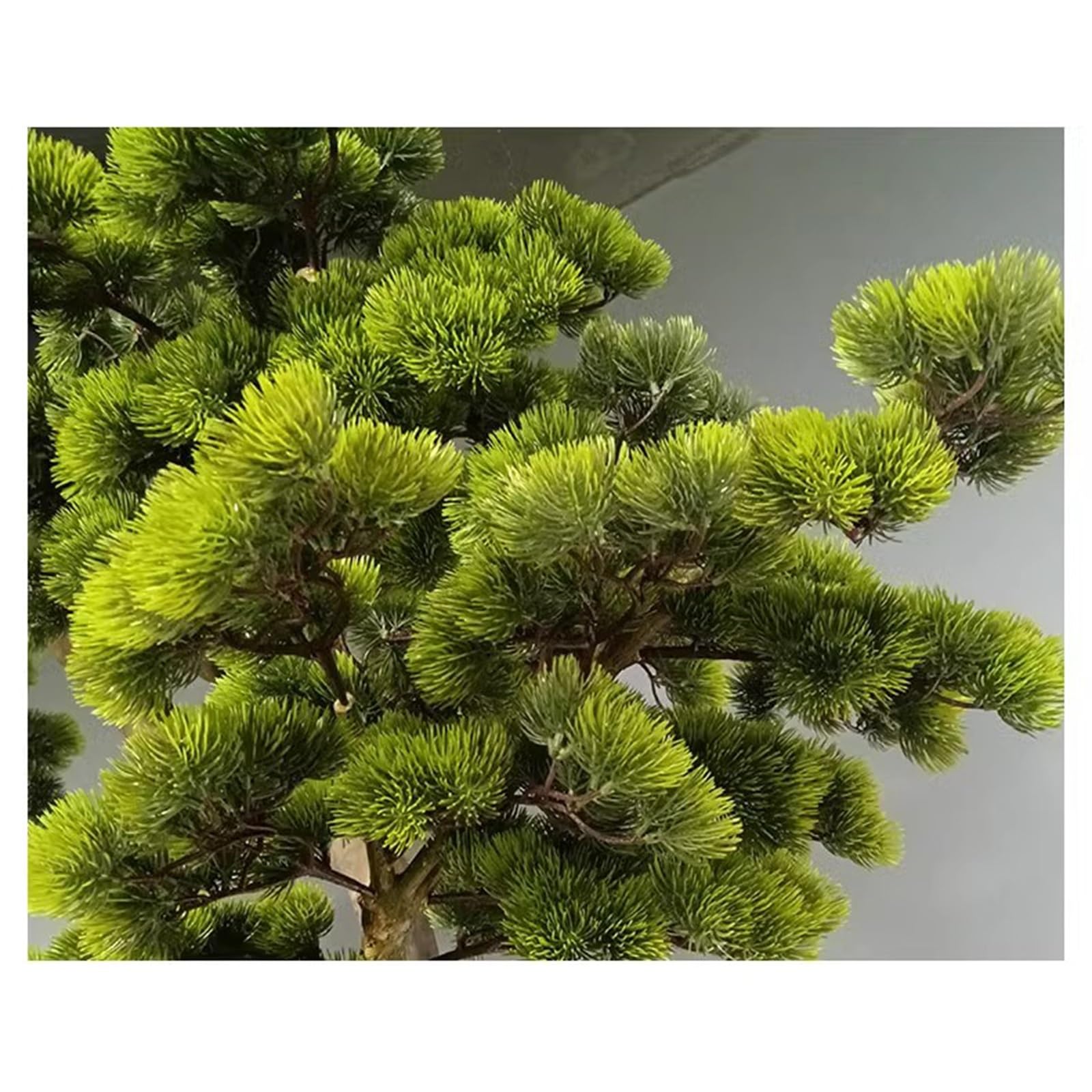 Bonsái Artificial simulado Pino Artificial invertido Planta Verde Paisaje Interior Patio Ventana Pino árbol decoración de Pared Superior para hogar Oficina,