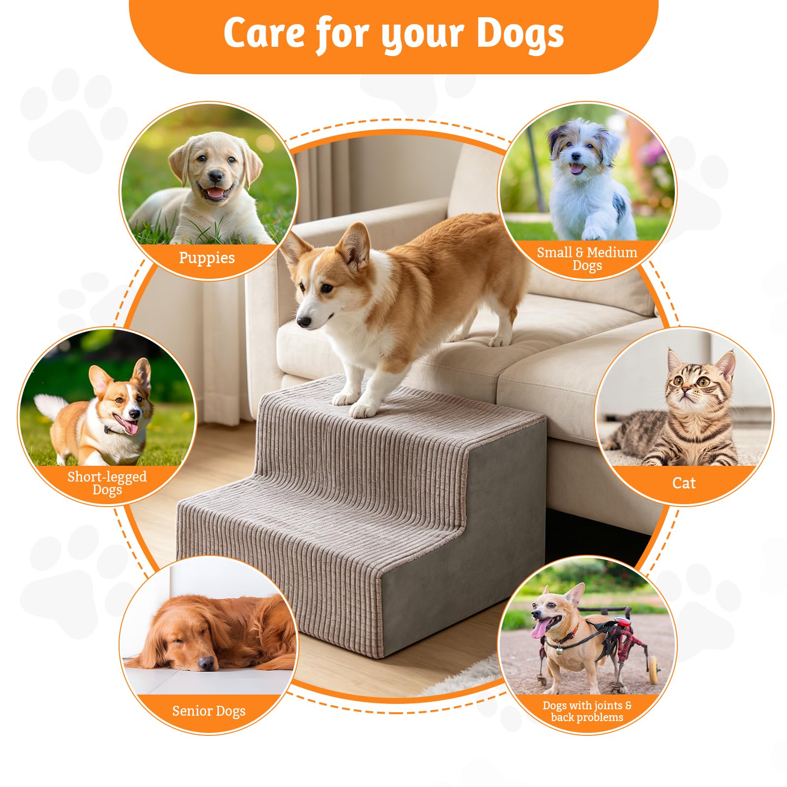 4 rampe per cani per scale | Scaletta antiscivolo per cani, riempita con spugna elastica, rampe staccabili per cani anziani di piccola taglia