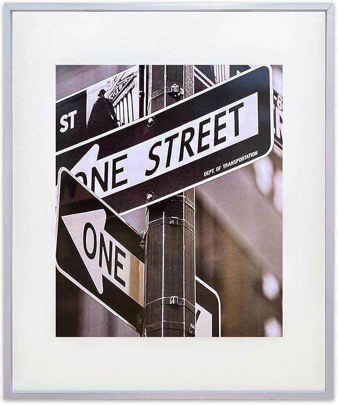 TheDisplayGuys - Contemporary Aluminum Picture Frame - Tempered Glass - 20 X 24 matted to 16 X 20 - Silver - Wall Hanging