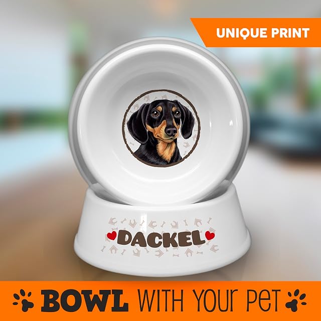 Foto 6 de 7 de DACKEL - Cuenco para perros ABS de 18 cm de diámetro, comedero antideslizante para perros, comedero…