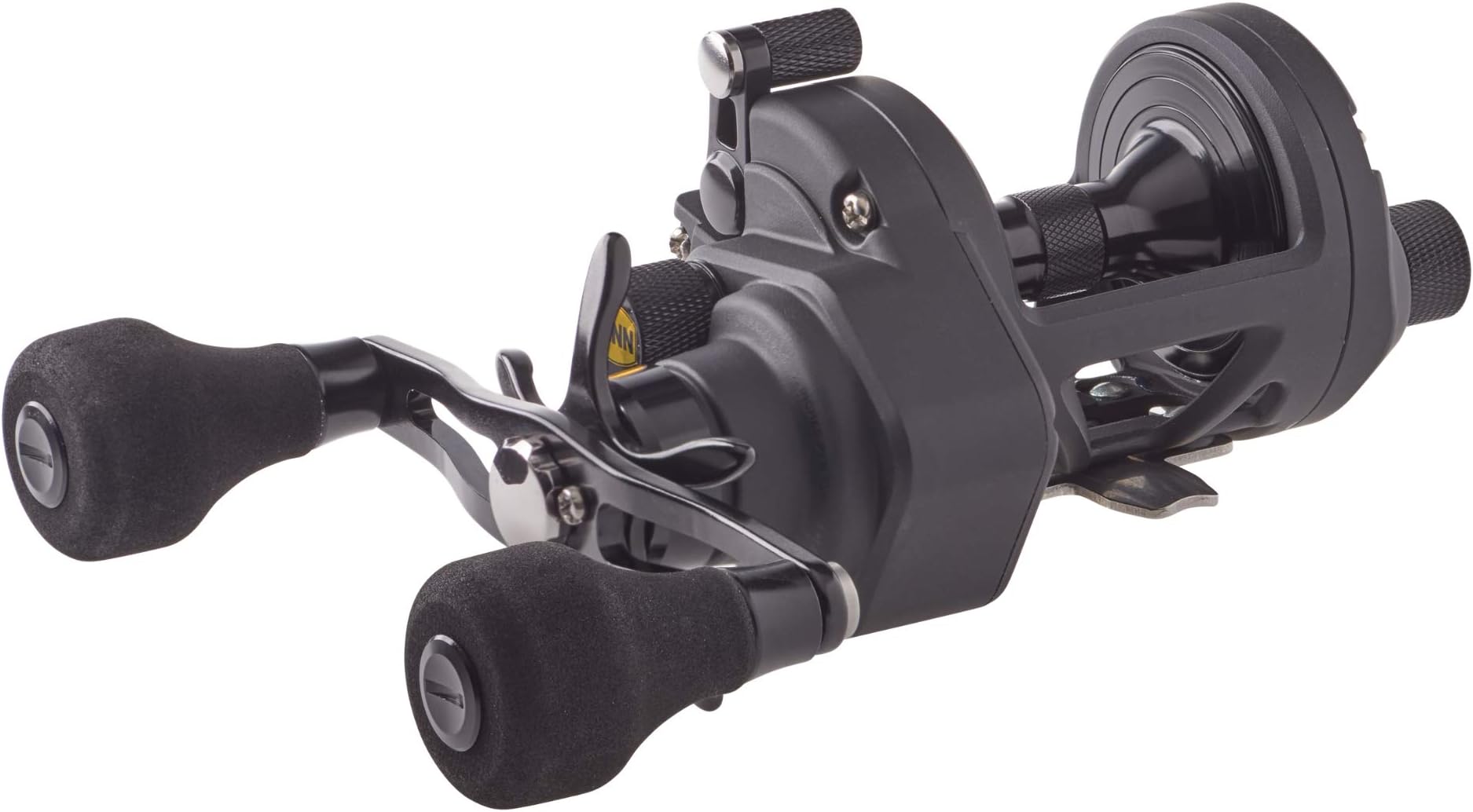 Fathom II Star Drag Conventional Fishing Reel, Black Gold, 25N