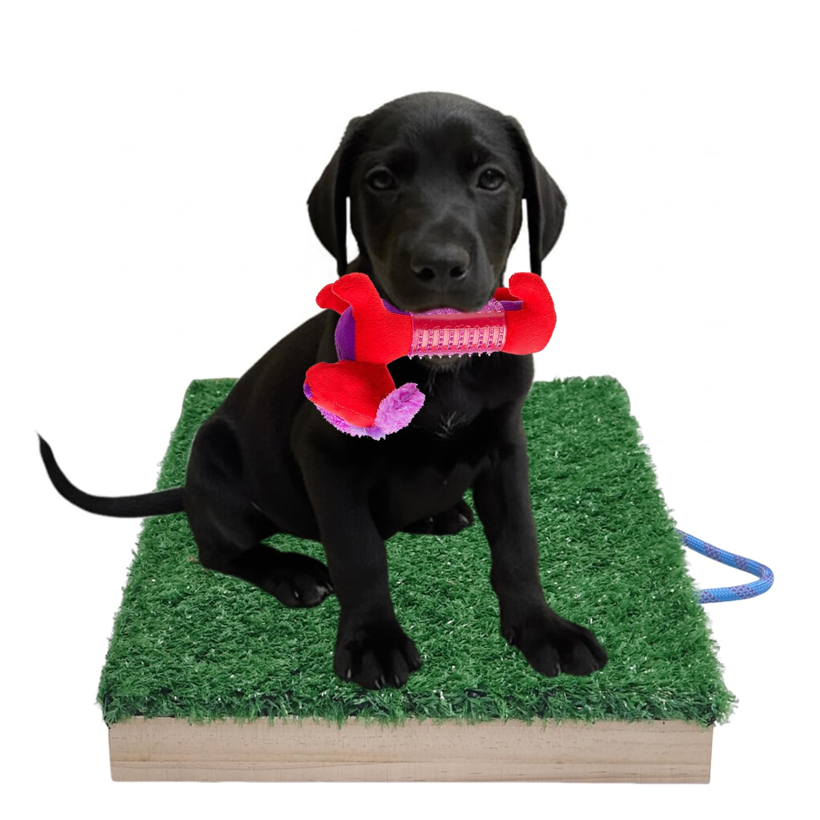 SUNUCO Dog Training Place Board, Artificial Turf Board - Dog Training Platform, Helps with Puppy and Small Breed Dog Training, Obedience Practice, Attention and Command Execution.
