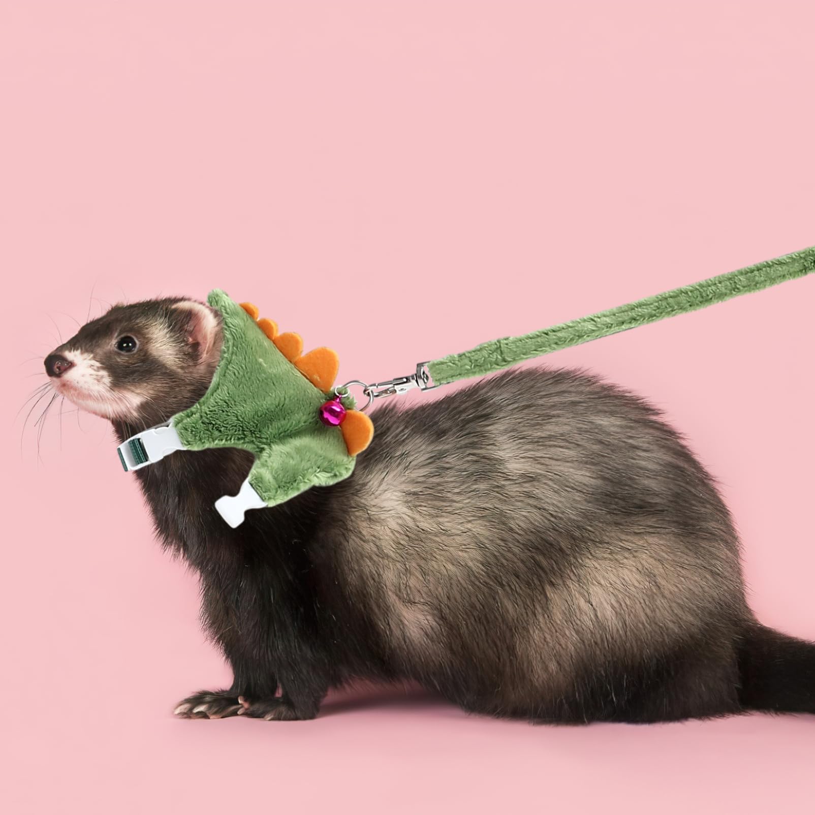 FRCOLOR 5piezas Arnés y Correa para Hurones Cuerda De Paseo para Animales Pequeños Diseño Práctico y Cómodo para Salidas y Paseos Al Aire