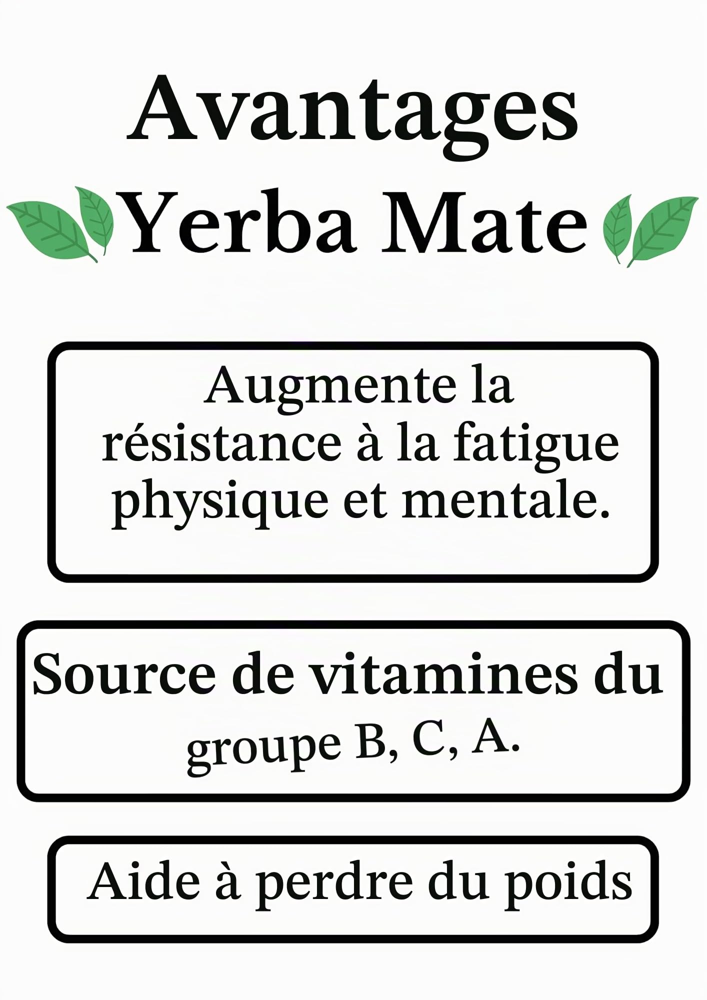 Tasse mate argentine premium avec intérieur en bois de citrouille naturel et extérieur en cuir marron avec acier inoxydable - Comprend une ampoule pour Yerba Mate.