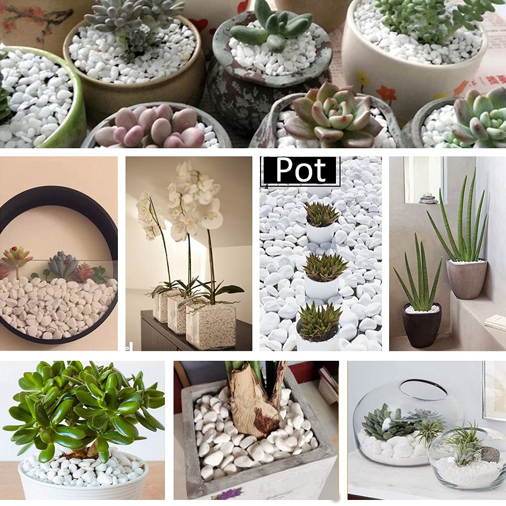 Ciottoli Bianchi Decorativi Naturali - Ghiaia Lucida Per Vasi, Giardino E Acquario, Diametro 40-60mm, 1000g - Foto 12