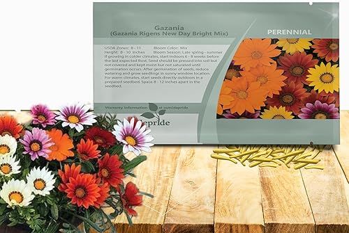 Outsidepride New Day Bright - Semillas mixtas de Gazania para plantar, 50 piezas de semillas perennes, de bajo mantenimiento, tolerantes a la sequía