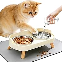 DIRZHX Elevated Raised Cat Bowls with Splash-Proof Mat & 2 Stainless Steel Dishes - Anti-Vomiting for Cats & Small Dogs, White