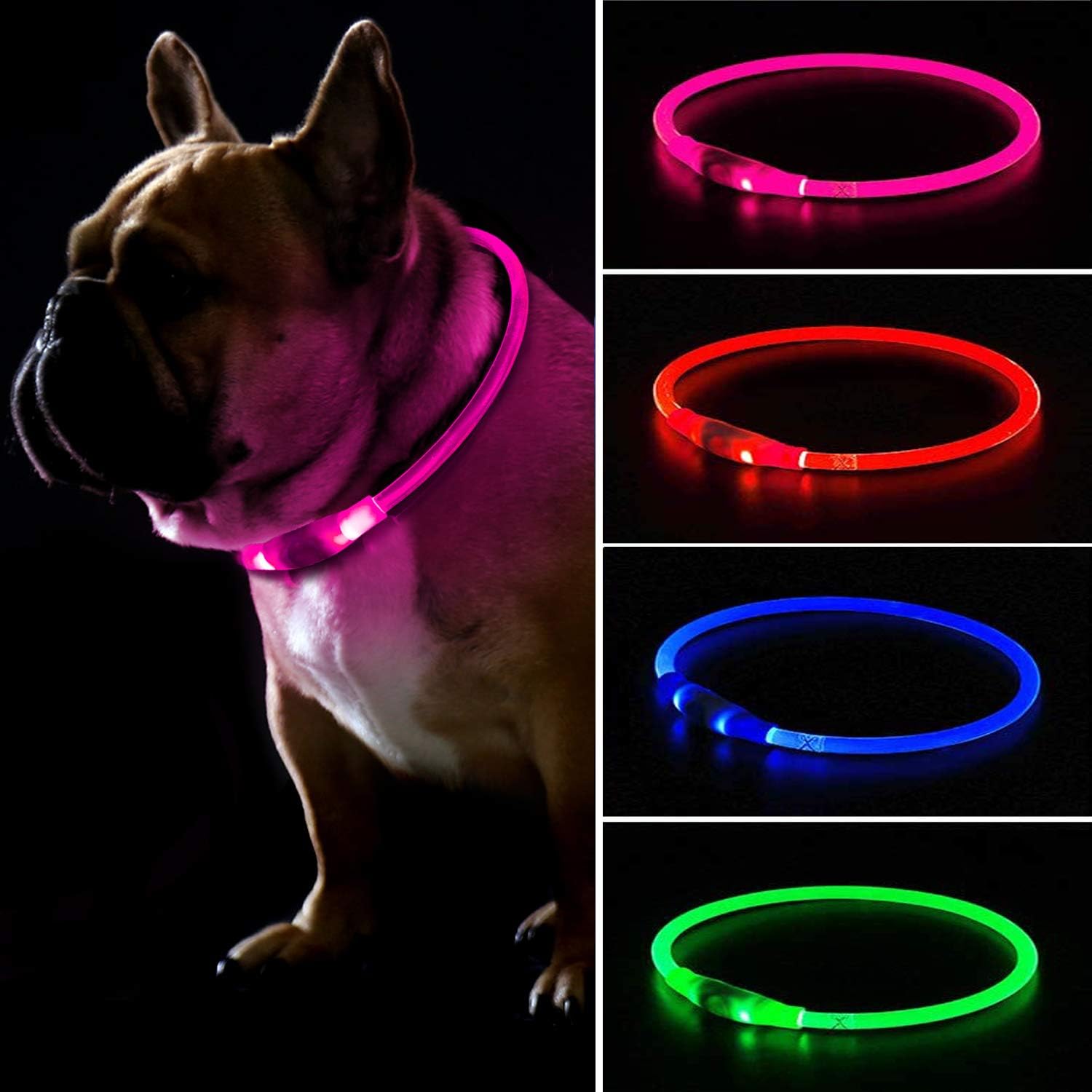 flashing dog light