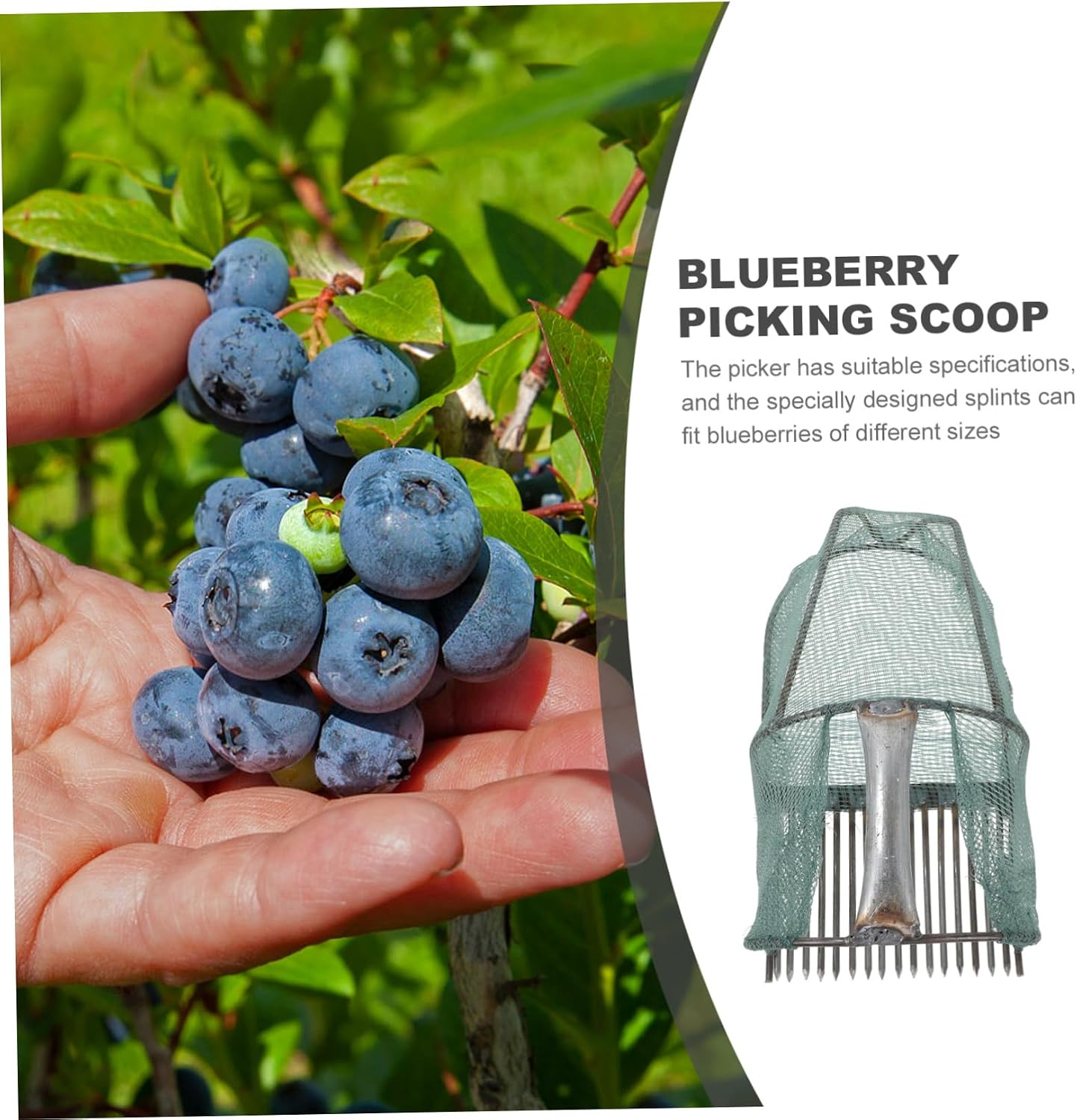 Portable Blueberry Picker with Efficient Garden Tool for Blueberries Strawberries and Other Fruits for Home Orchard and Farm Use