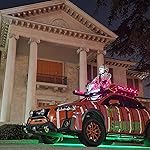 Review Image by Cecil Bailey