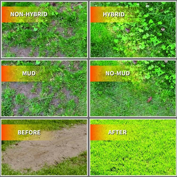 HYBRIDX Lawn Hybrid Grass Tiles, Hybrid Turf Squares for Outdoor Use - Durable Grass Squares Against Lawn Gaps - Flexible Artificial Grass Turf for Garden - 6.5ft by 6ft