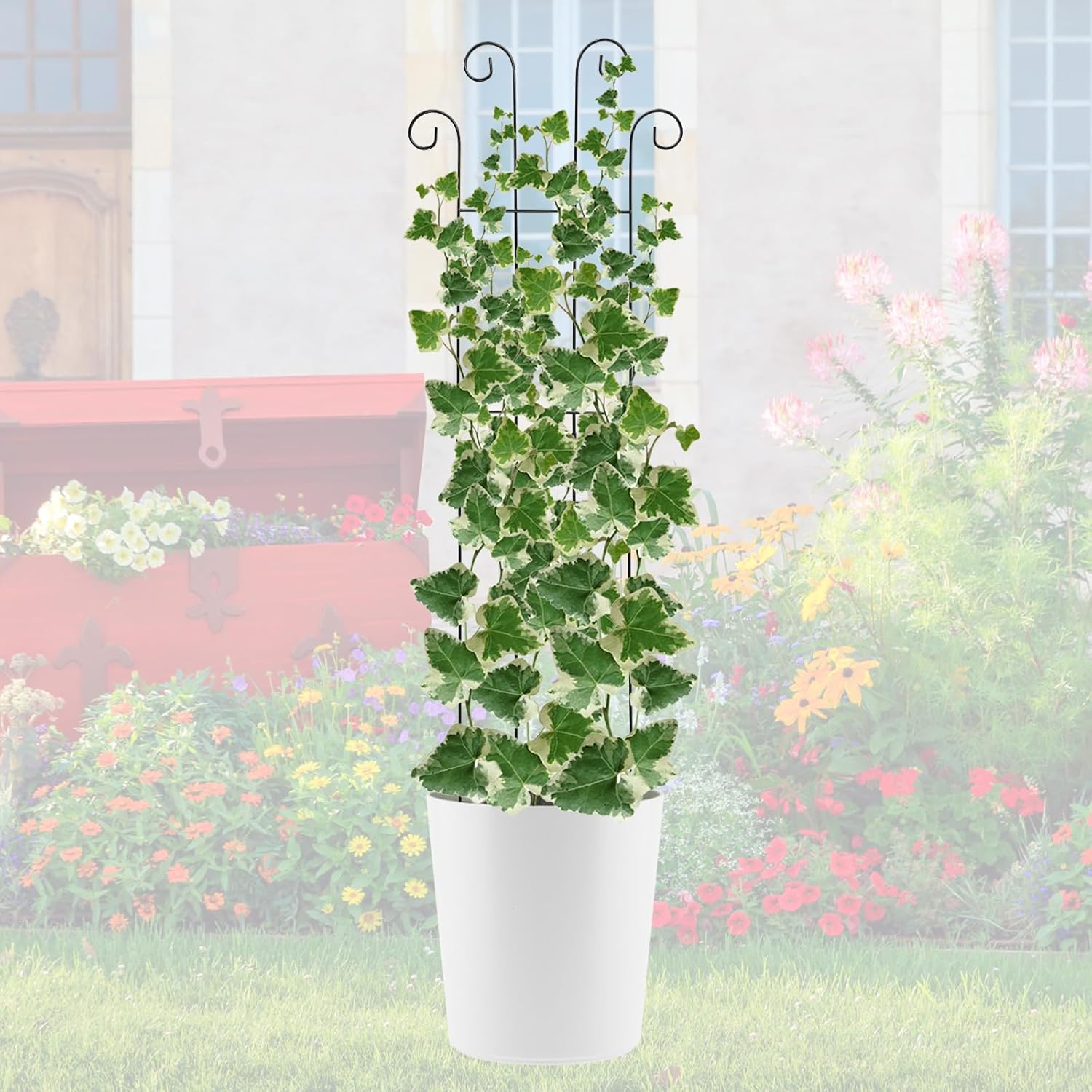 4 Pack 32'' Wave Shape Black Metal Trellis for Climbing Plants Indoor & Outdoor, Garden Trellis for Houseplants Flowers Vine Ivy