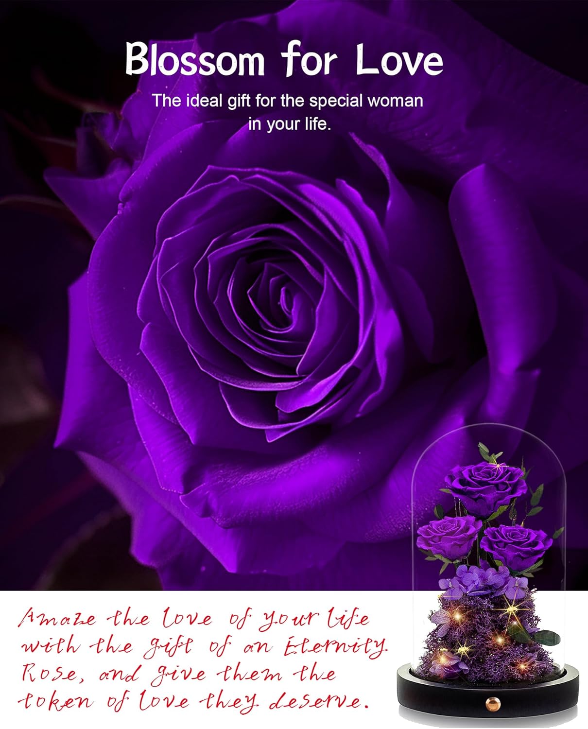 Valentines Day Flowers Roses Gifts for Women Her,Forever Preserved Rose in Glass Dome, Valentines Anniversary Birthday Real Roses Gifts for Wife Women Girlfriend Best Friend/Purple - Image 4
