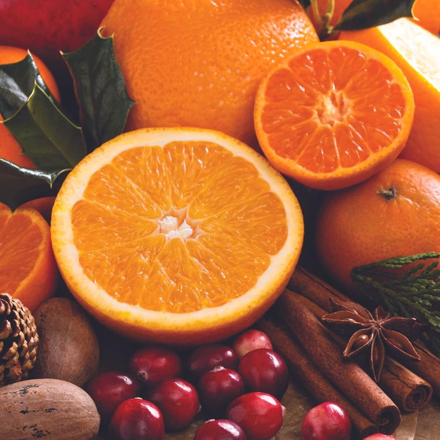 Cuccio Naturale Hydrating Dry Body Oil – Citrus & Wild Berry, Fast‑Absorbing Non‑Greasy Moisturizer for Soft Radiant Skin, 15.5 fl oz - Image 2