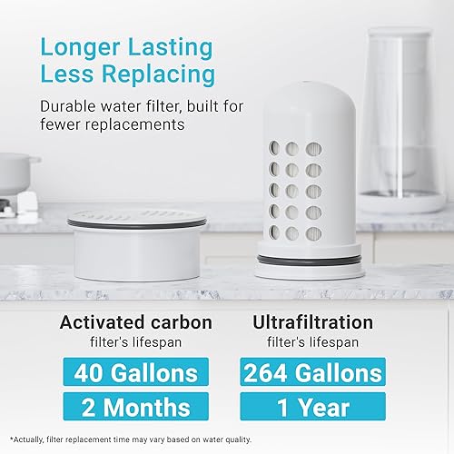 Miniatura 4 de AQUA CREST Filtro de agua compatible con sistemas de jarra y dispensador LifeStraw Home, repuesto para filtro de agua LifeStraw, reduce el cloro, 1