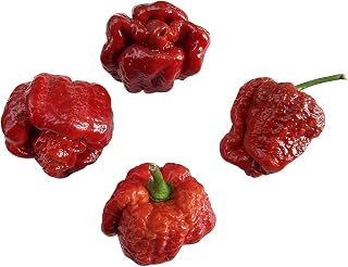 Caramell Moruga Scorpion Hot Pepper -> 5 Seeds by -Samenchilishop-