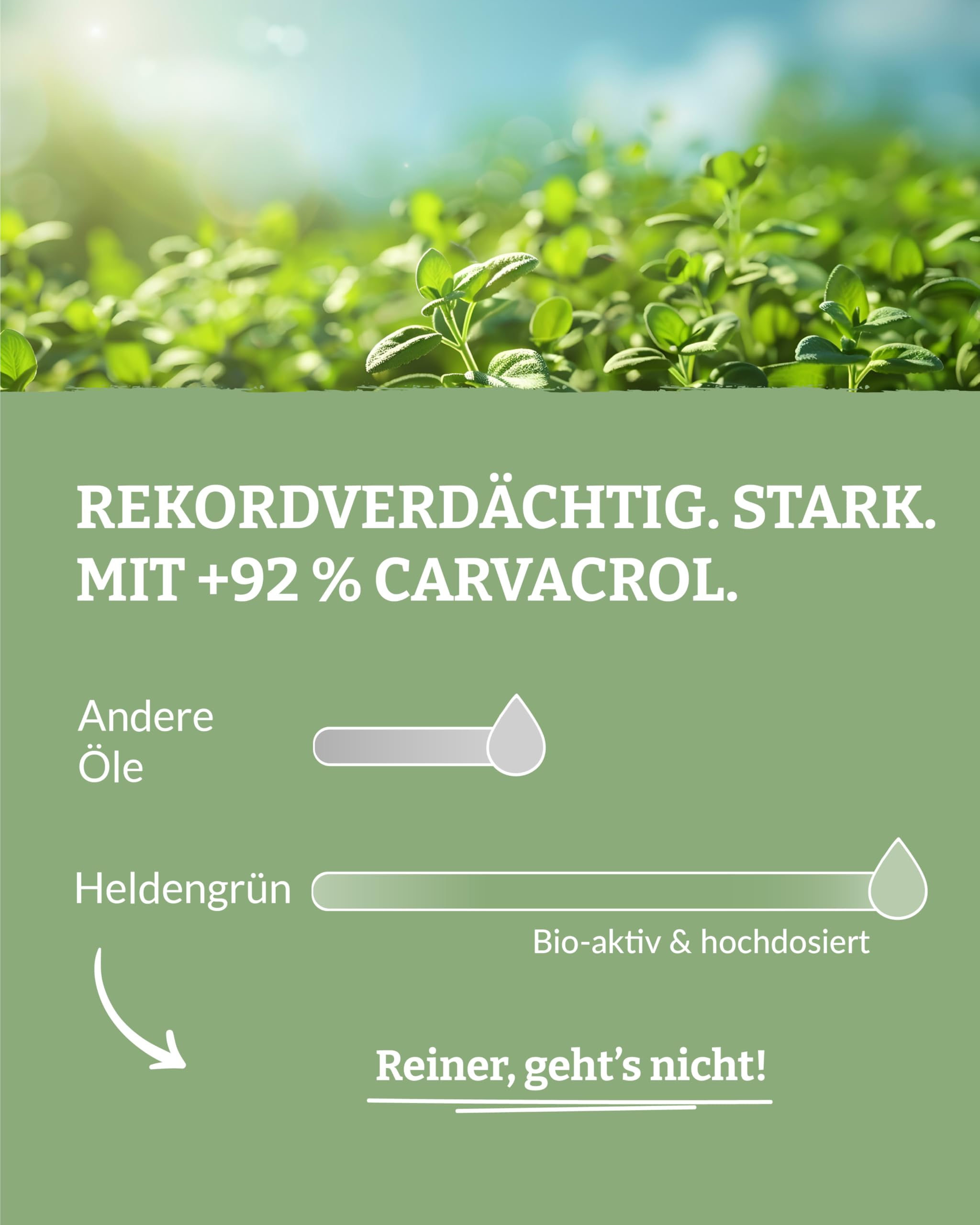 Heldengrün® BIO Oregano Öl [HOCHDOSIERT] zum Einnehmen 2x50 ml