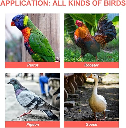 Miniatura 5 de Vasos de alimentación para pájaros, 12 unidades, platos, pájaros, animales, jaula de alimentación, colgante, cacatúa, agua, animales, colibrí,