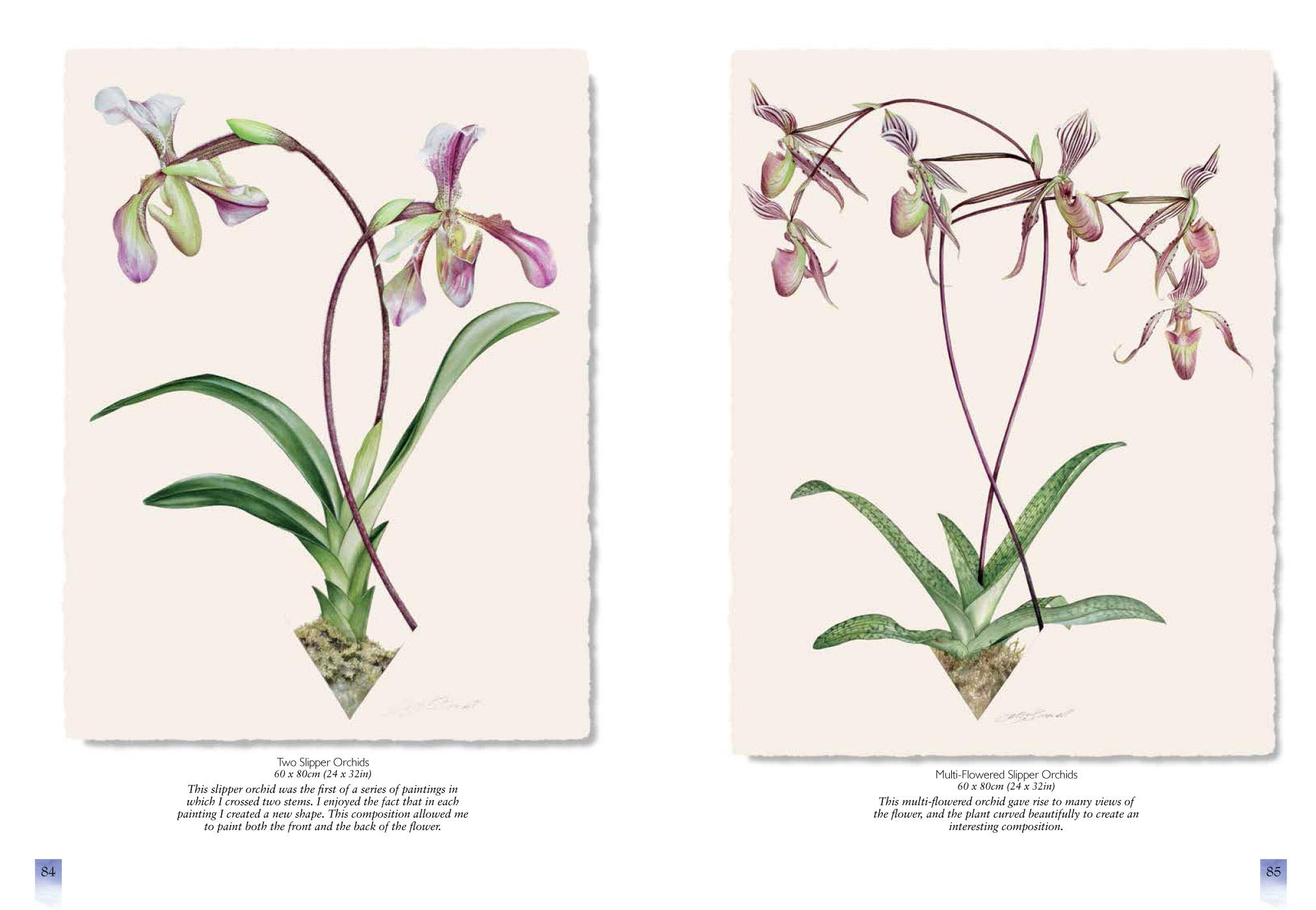 Watercolour Flower Portraits