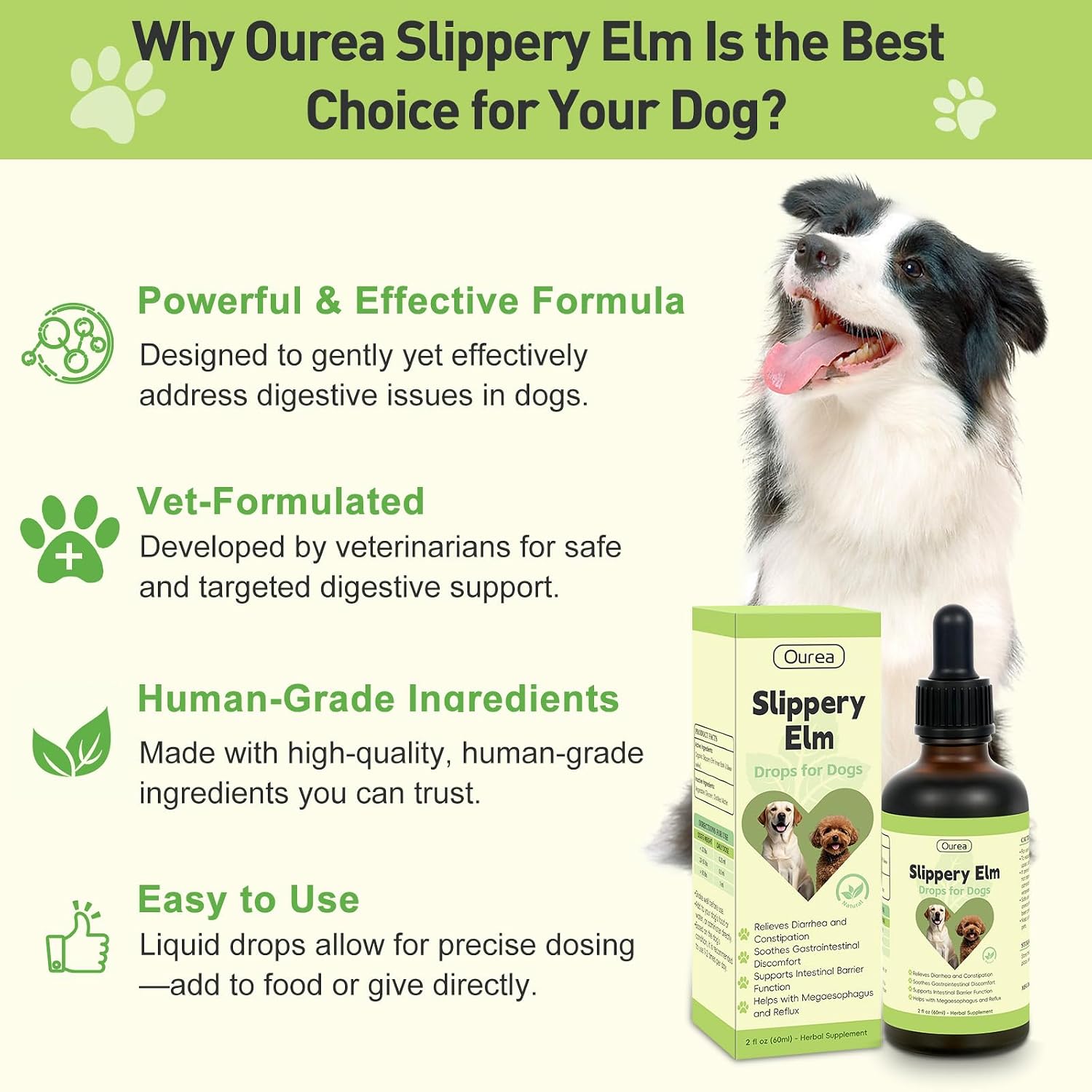 Organic Slippery Elm Drops Dog Digestive Support for Diarrhea Constipation Sensitive Stomach All Breeds