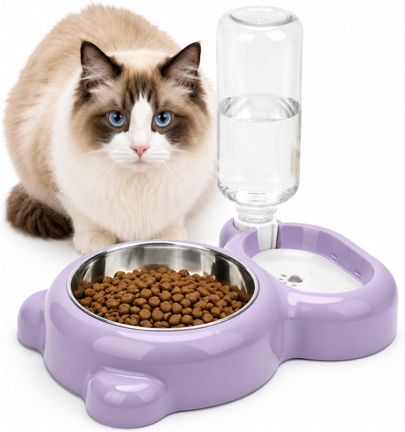2-in-1 Dog Cat Bowl, Cat Food and Water Bowl Set, Purple